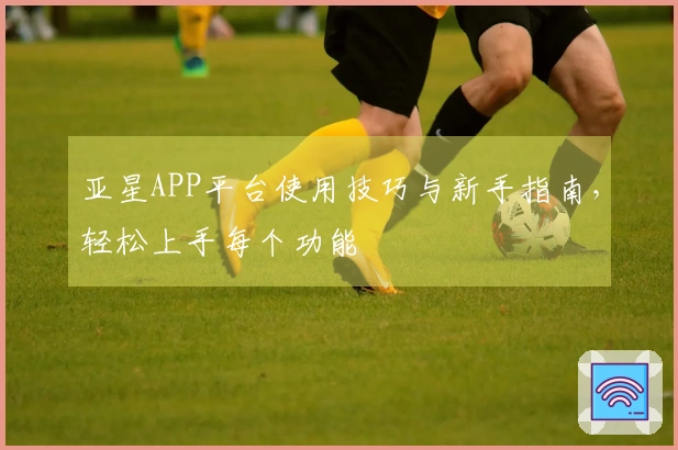 亚星APP平台使用技巧与新手指南，轻松上手每个功能