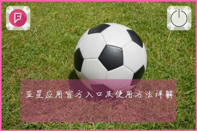 亚星应用官方入口及使用方法详解