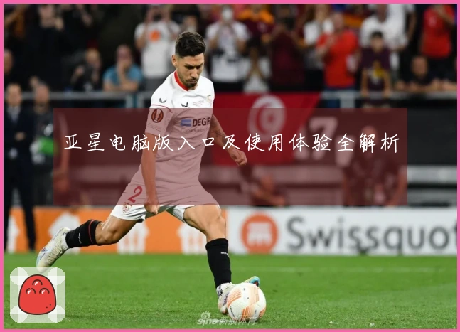 亚星电脑版入口及使用体验全解析