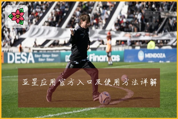 亚星应用官方入口及使用方法详解