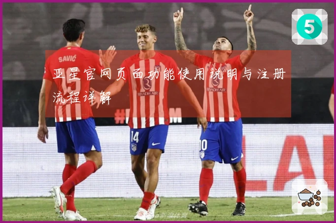 亚星官网页面功能使用说明与注册流程详解