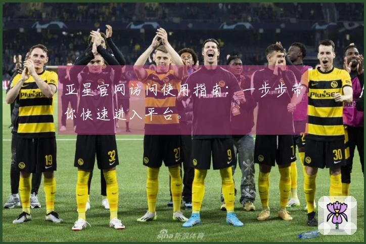 亚星官网访问使用指南：一步步带你快速进入平台。